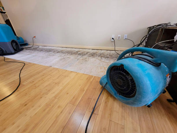 Professional Ceiling Water Damage Repair technician working in Center Ossipee, NH
